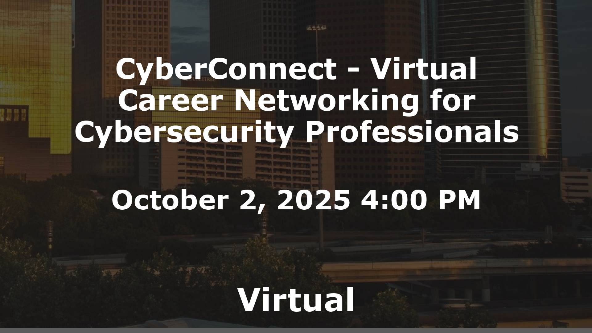 CyberConnect - Virtual Career Networking for Cybersecurity Professionals event image